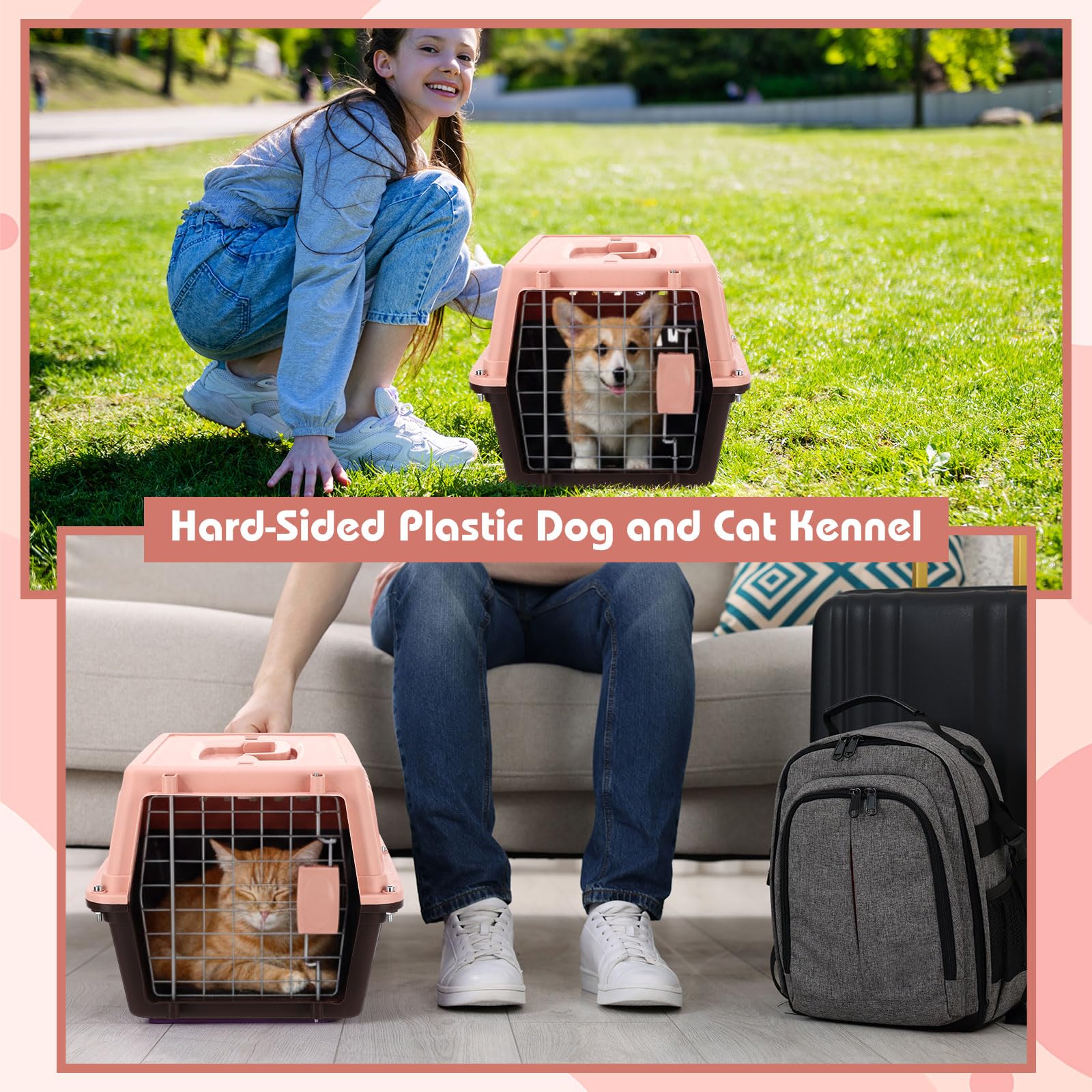 Locmeo usages polyvalents: transport de chat, chien et petits animaux