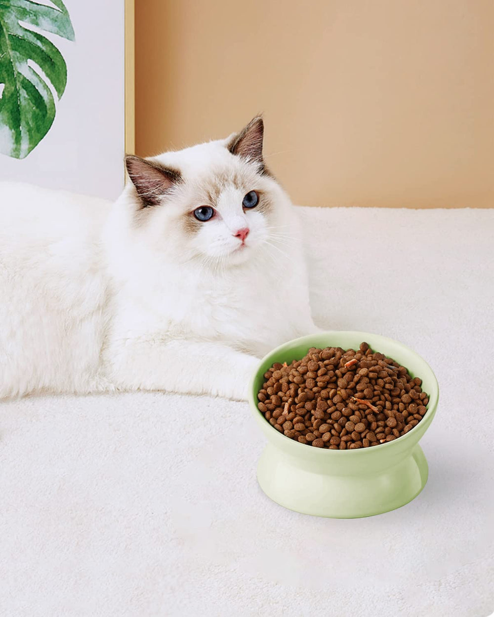 LoeJan assiette chat design ergonomique, réduit le contact des moustaches avec le bord.