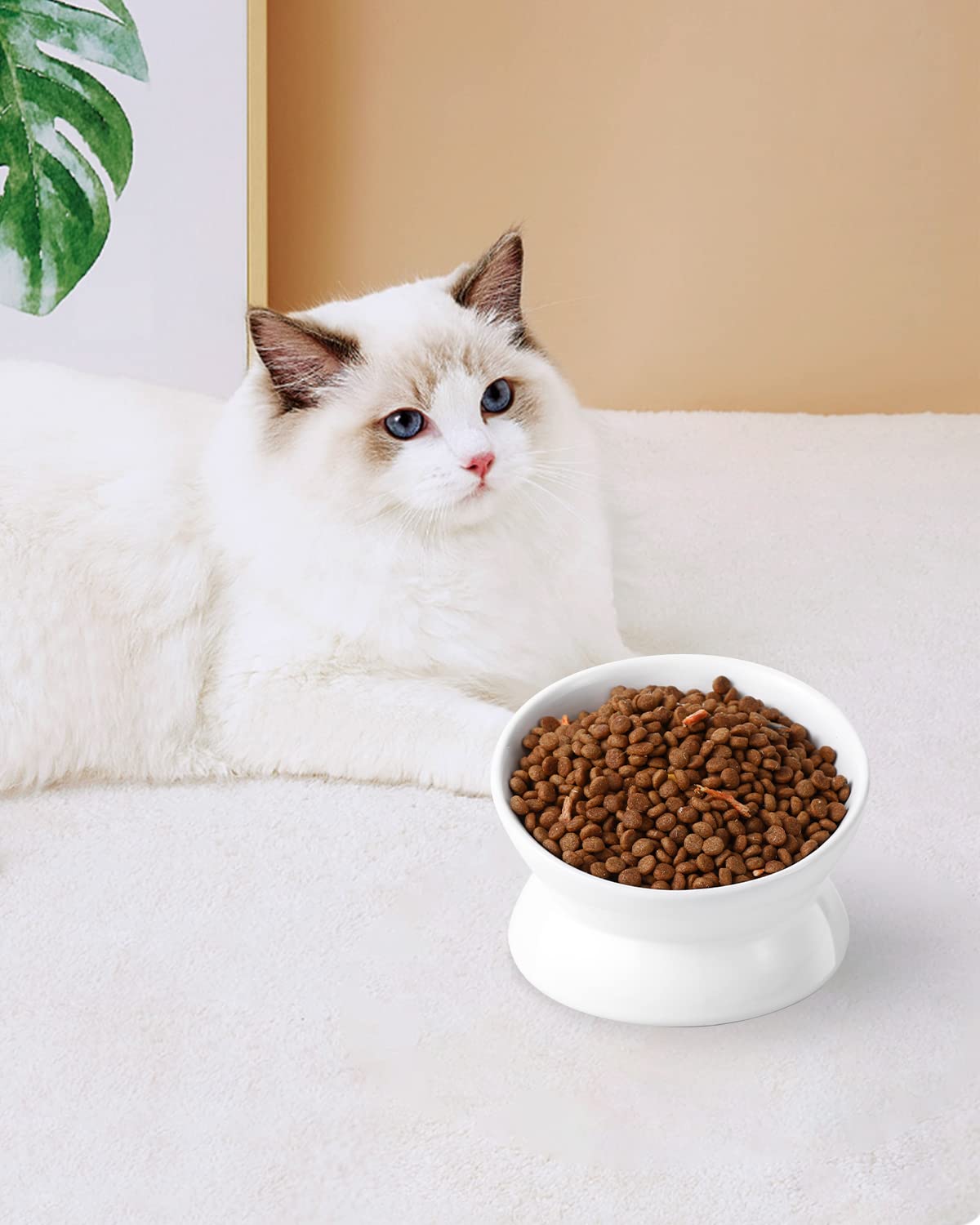 LoeJan bol chaton petit format 5oz blanc