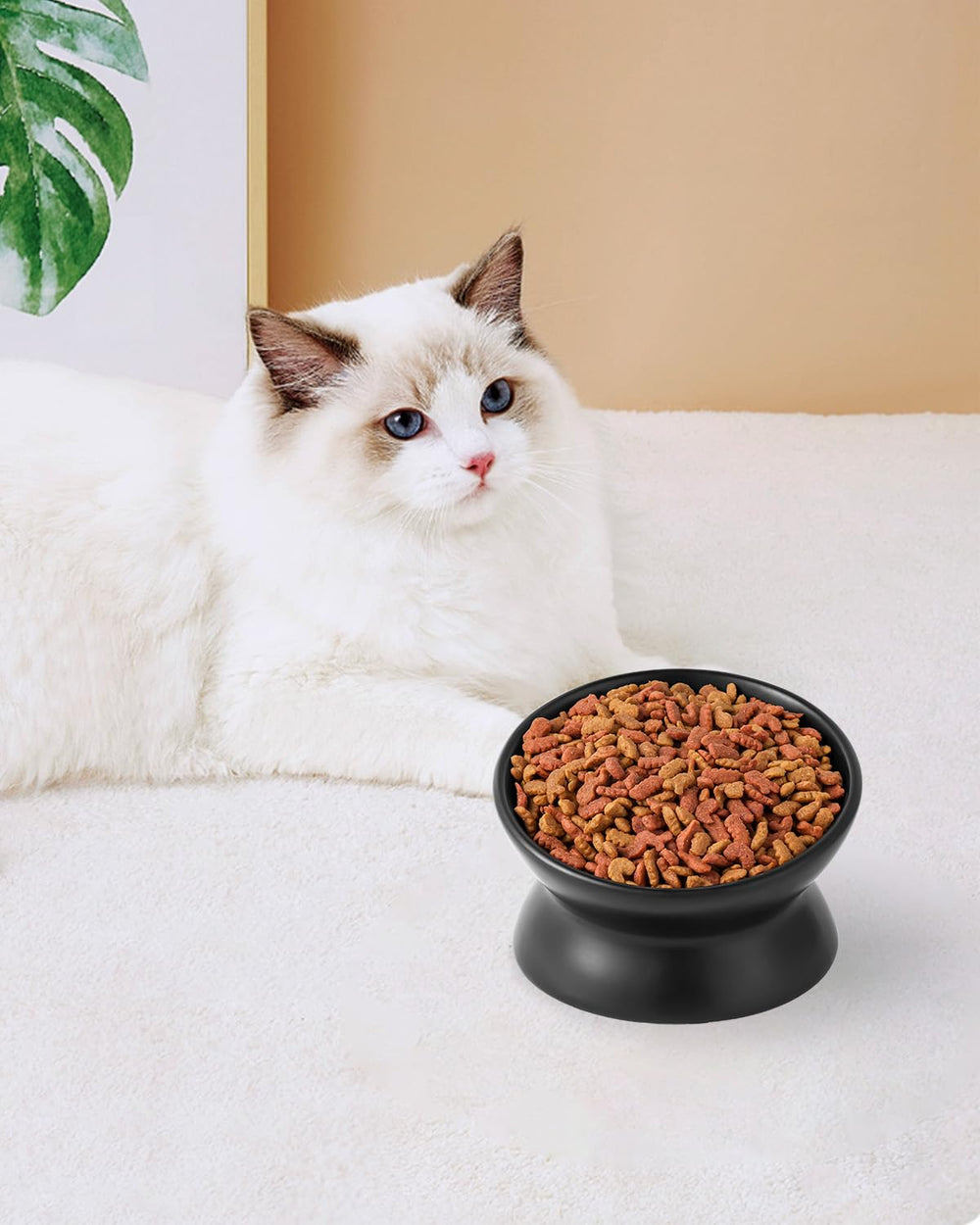 LoeJan bol chat design durable et moderne.