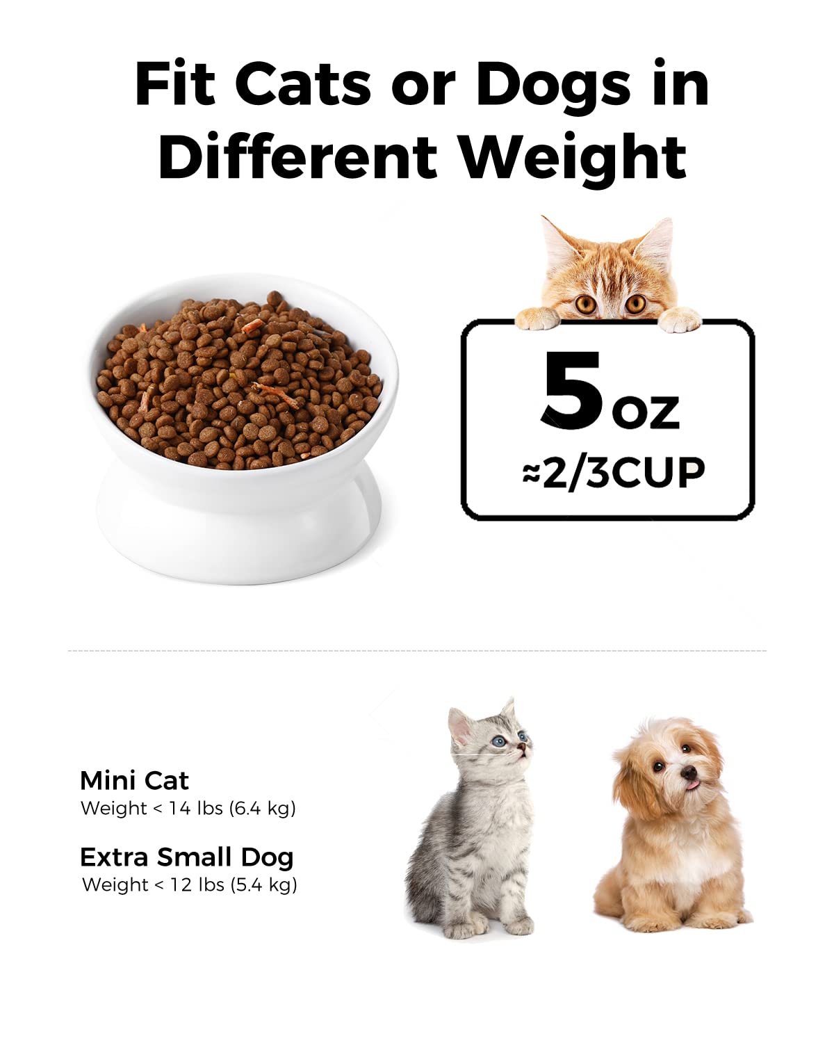 LoeJan bol chat incline 5oz blanc, améliore posture et vomissements potentiels