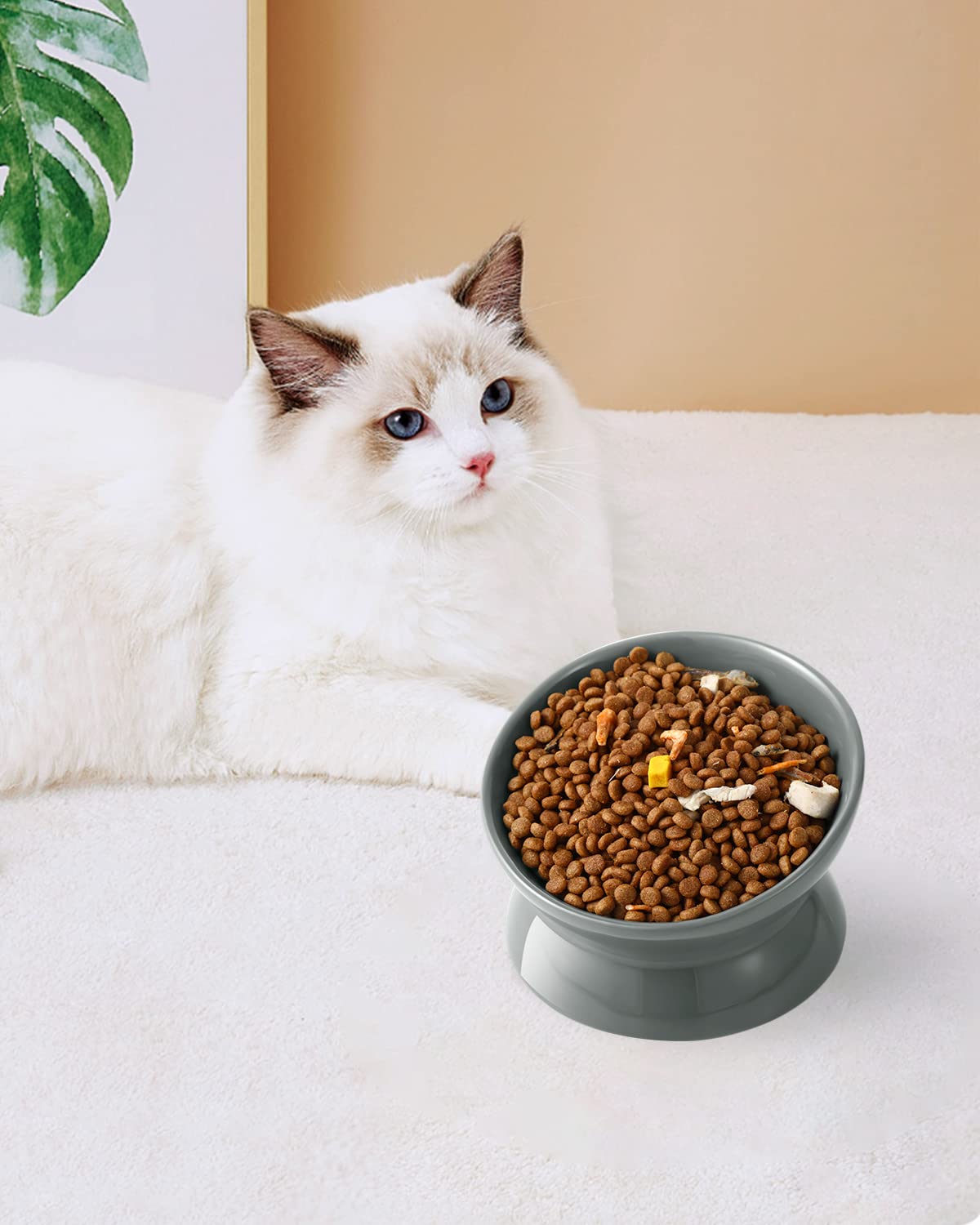 LoeJan bol utilisation quotidienne ceramique, idéal pour petits chiens et chatons.