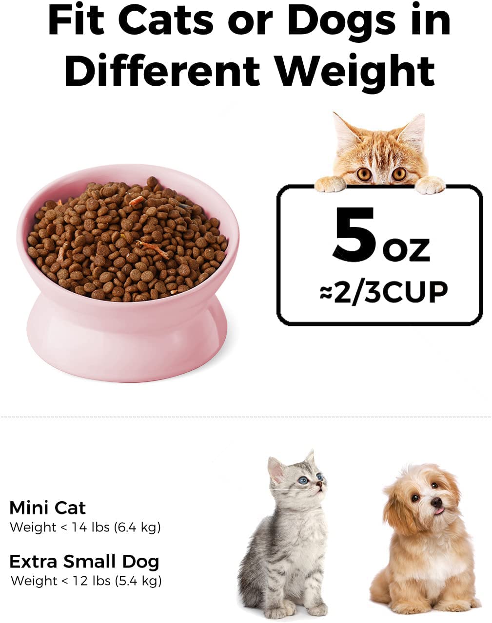 LoeJan bol eau chat incline rose, boire sans tension.