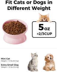 LoeJan bol eau chat incline rose, boire sans tension.