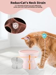 LoeJan bol nourriture chat eleve rose – assiette inclinee pour un acces facile.
