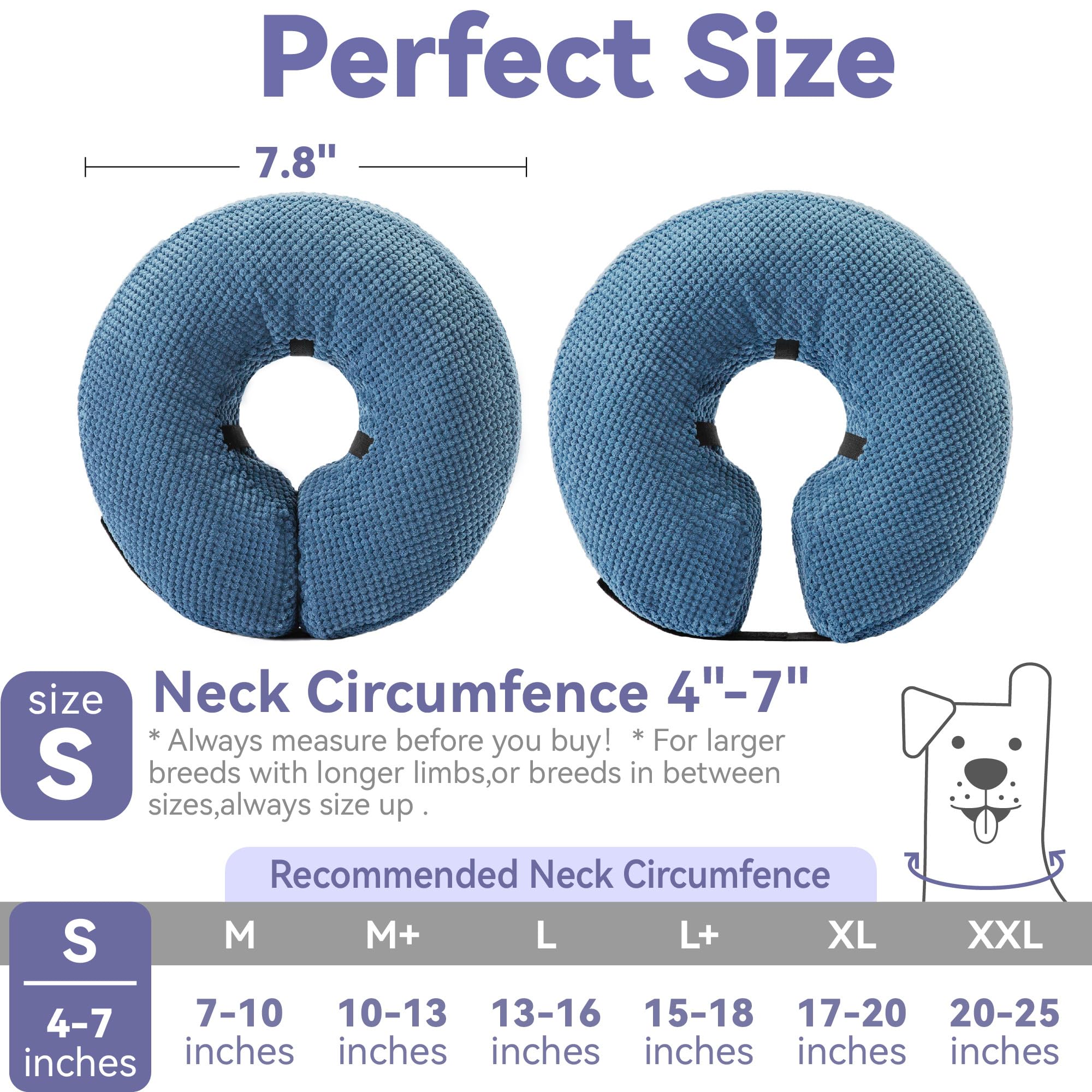 Loflaze protection sûre évite lèchage de la zone blessée bleu S.