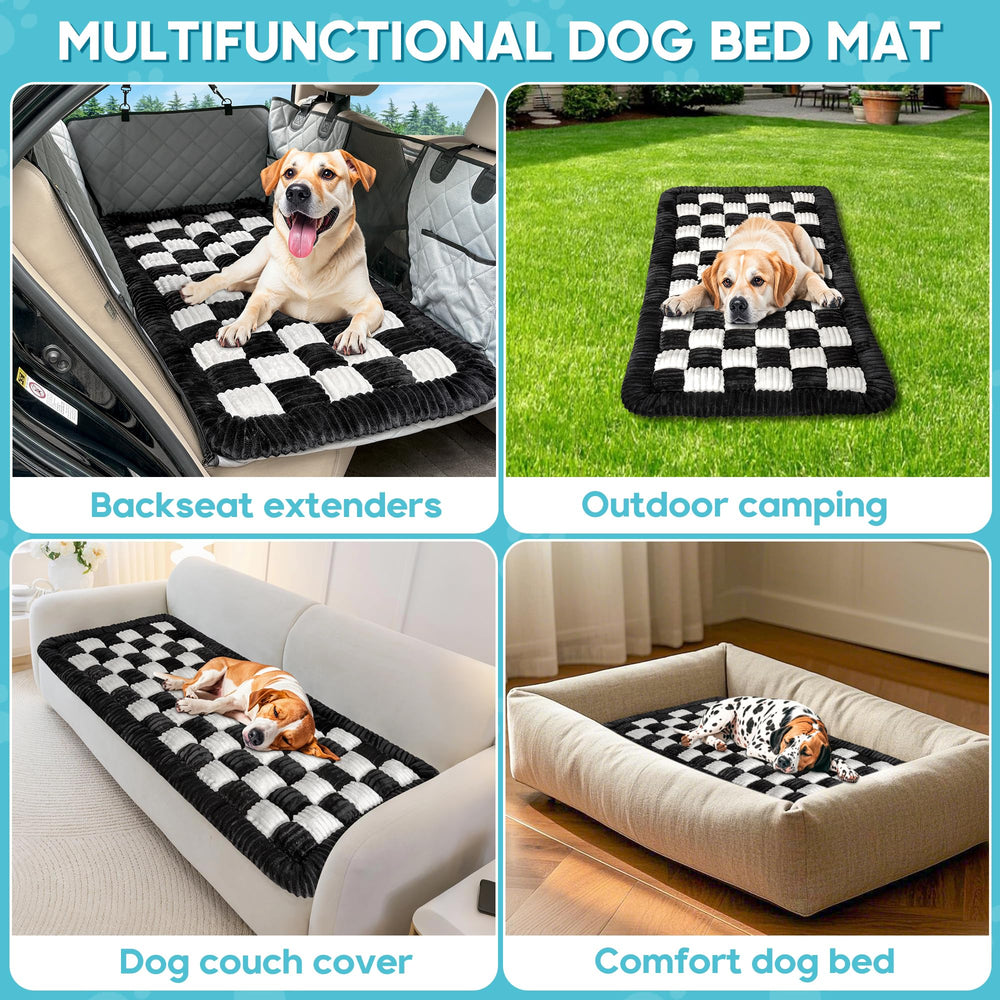 Tapis Loiion anti-rayures, résistance aux griffes pour usage quotidien.