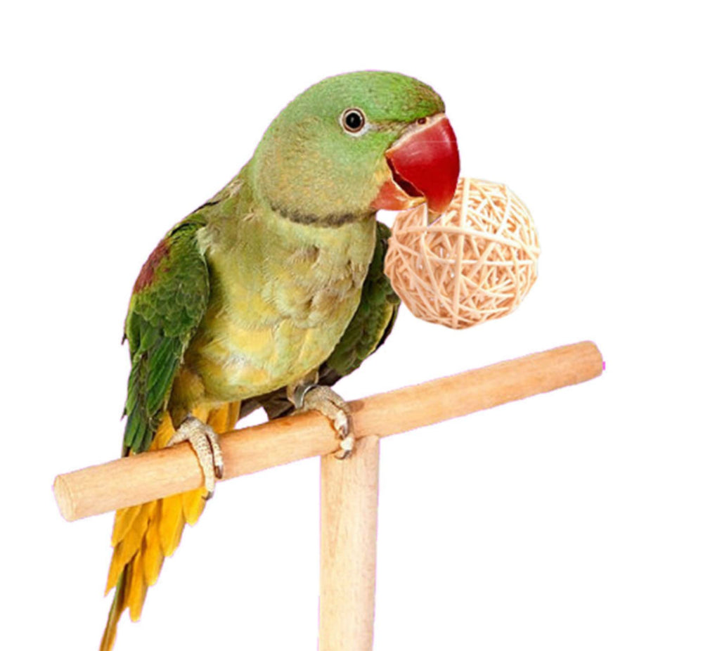 LOIUGENTE Boules en rotin 3 cm pour petits animaux, stimulation et divertissement.