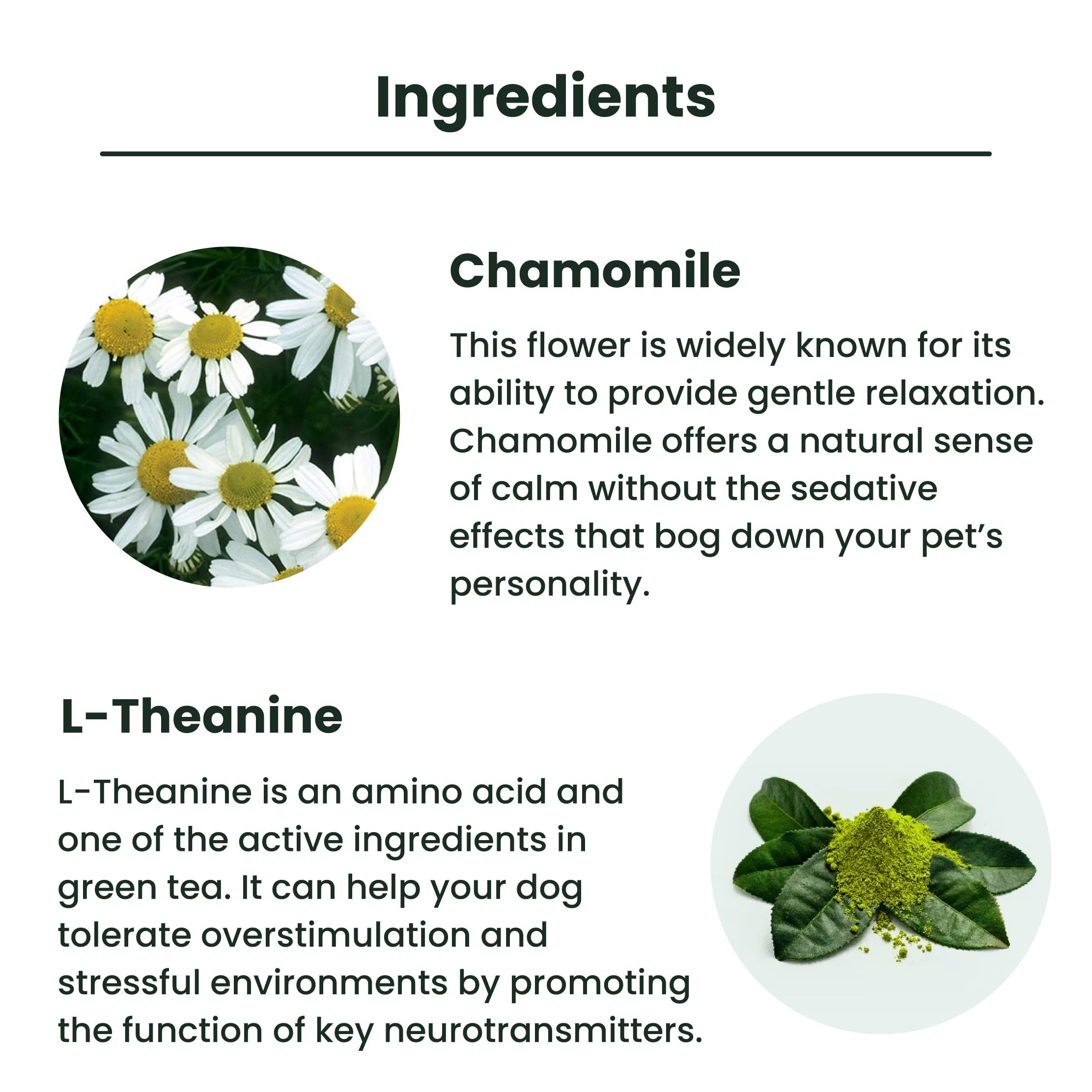 Lolahemp composition camomille théanine pour chien, soutien naturel