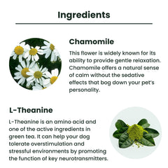 Lolahemp composition camomille théanine pour chien, soutien naturel