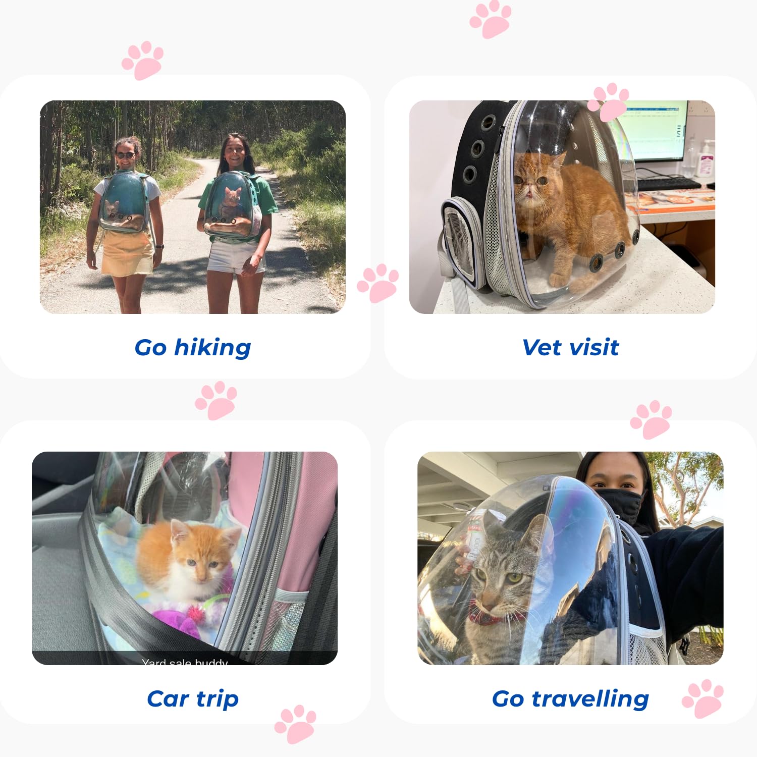 LOLLIMEOW Compatibilité avion: voyage en cabine facilité pour chats et petits chiens.