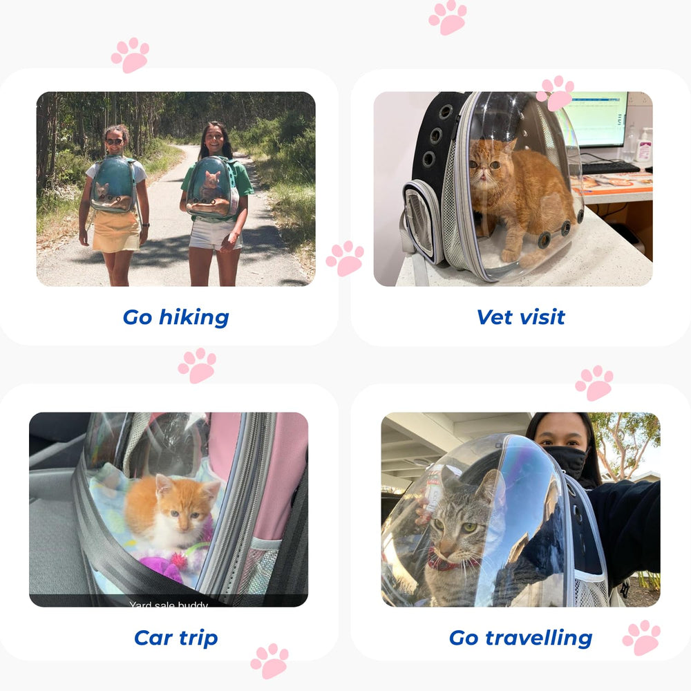LOLLIMEOW Compatibilité avion: voyage en cabine facilité pour chats et petits chiens.