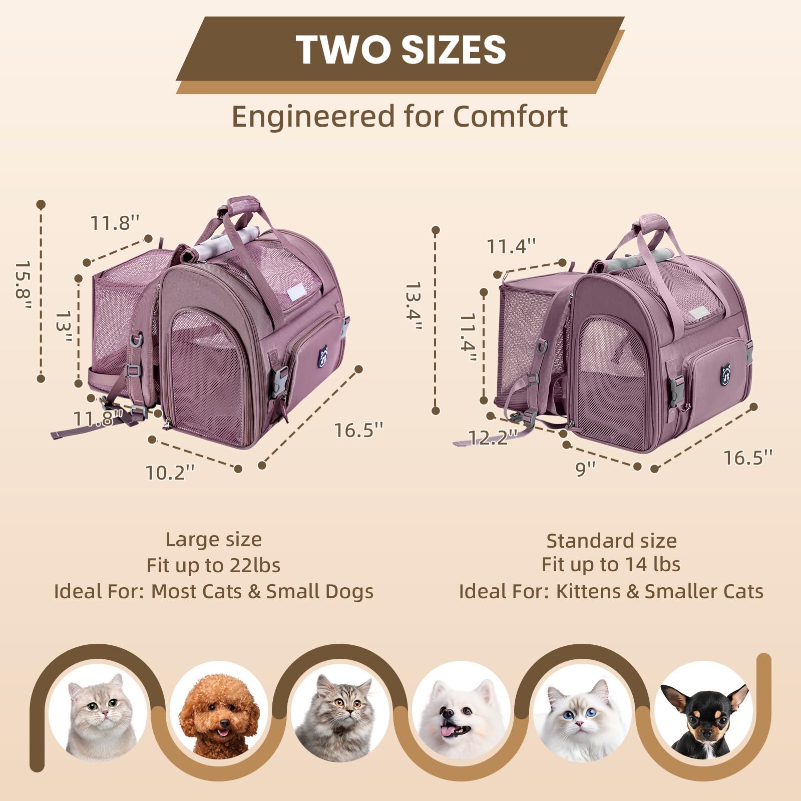 Fenêtre 3-en-1 du sac Lollimeow pour explorer ou se mettre a l abri