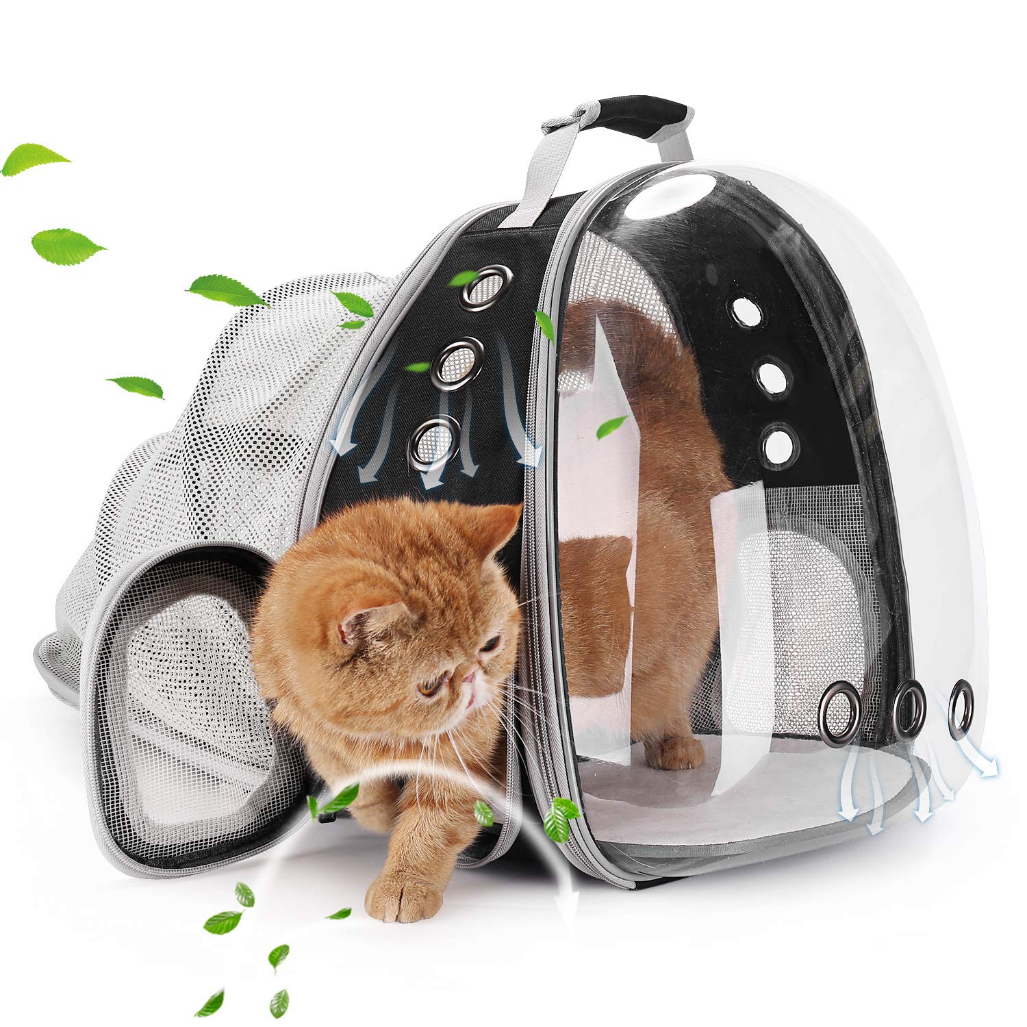 Lollimeow sac à dos chat avec fenêtre bulle panoramique offrant vue claire pendant les trajets
