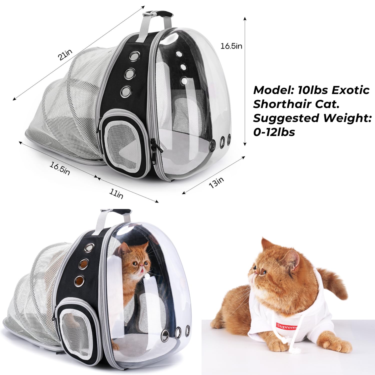 Lollimeow sac à dos chat – tapis inclus pour un sol stable et confortable