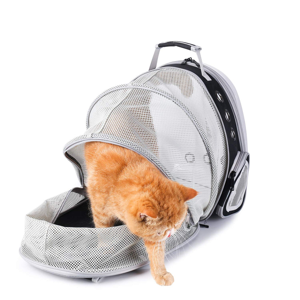 Voyage en avion facilité avec le sac Lollimeow prêt pour les trajets aérien