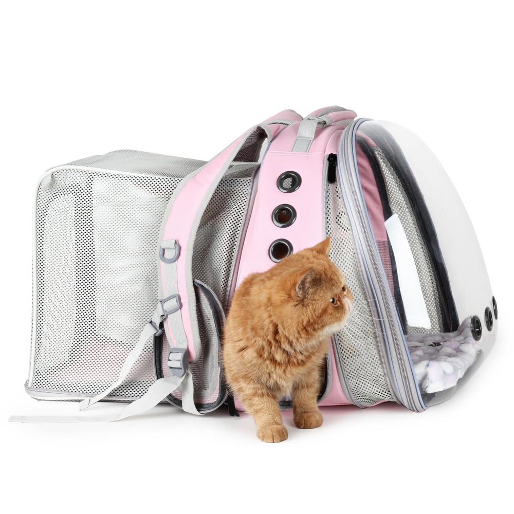 Lollimeow sac à dos chat bulle panoramique pour observer le paysage en sécurité.