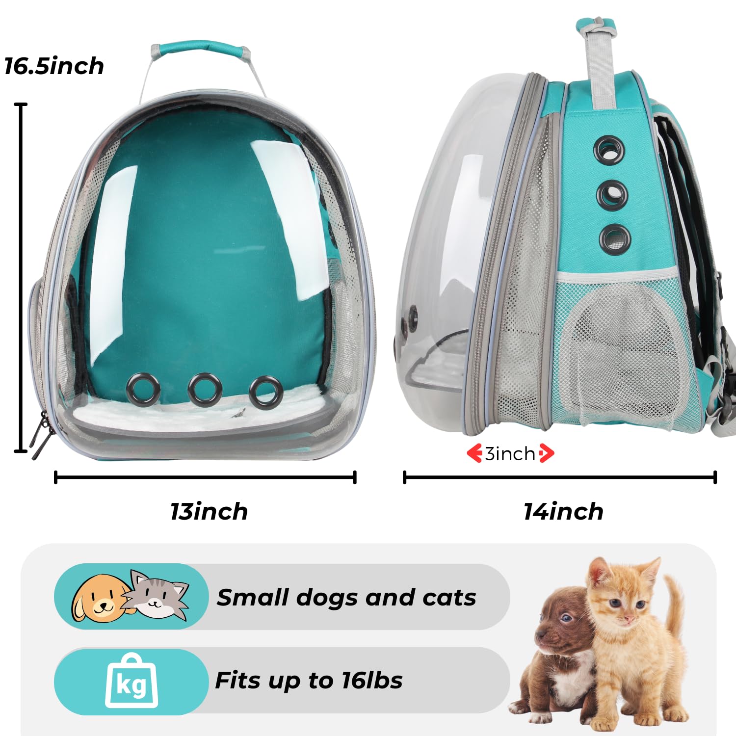 LOLLIMEOW ventilation multi-directionnelle pour température agréable