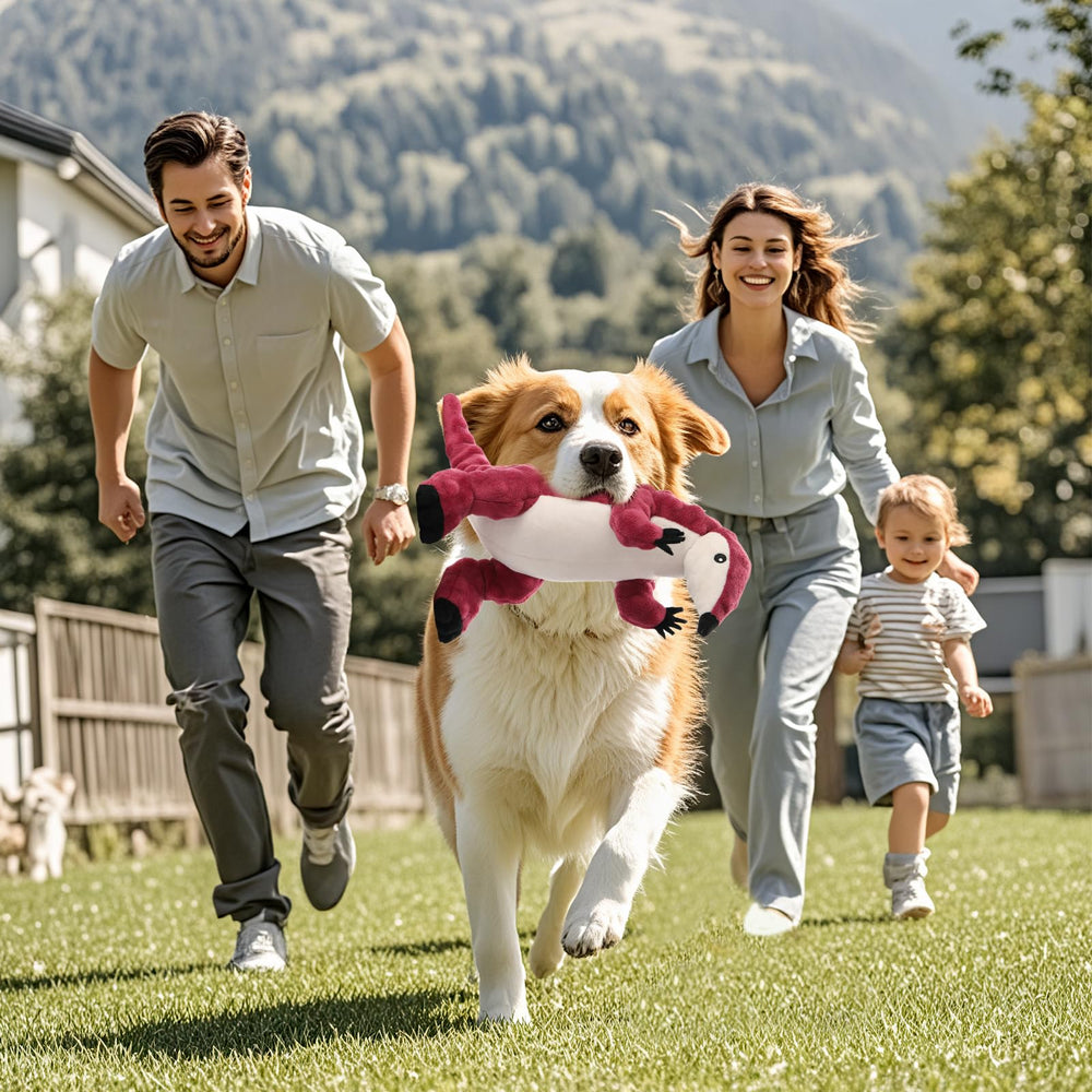 Loncoldy, cadeau parfait pour chien, peluche divertissante et durable.