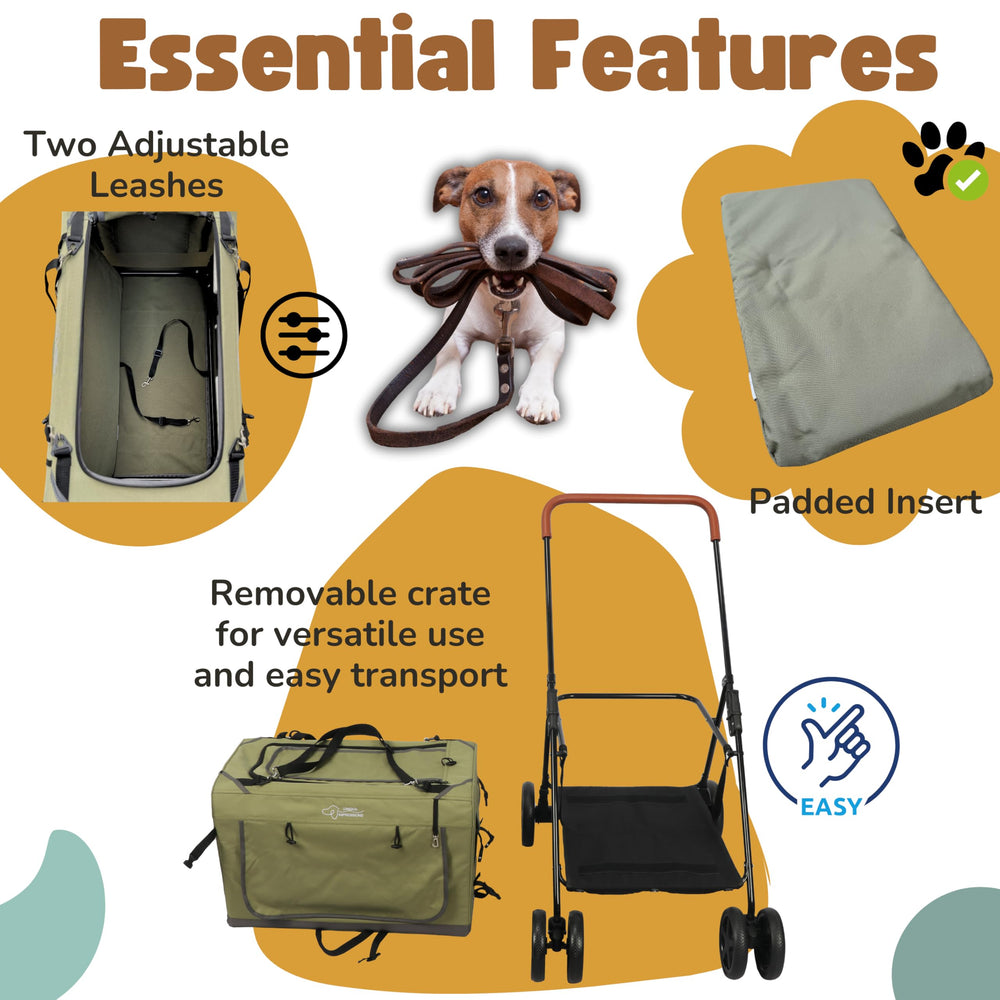 LONGDOG IMPRESSIONS – Cadre robuste garantissant stabilité et durabilité.