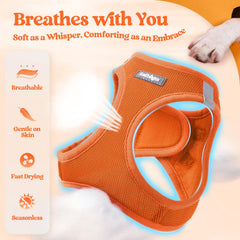 Longe Rabbitgoo orange, longueur 1,6 m et clip anti-nœuds pour promenades fluides