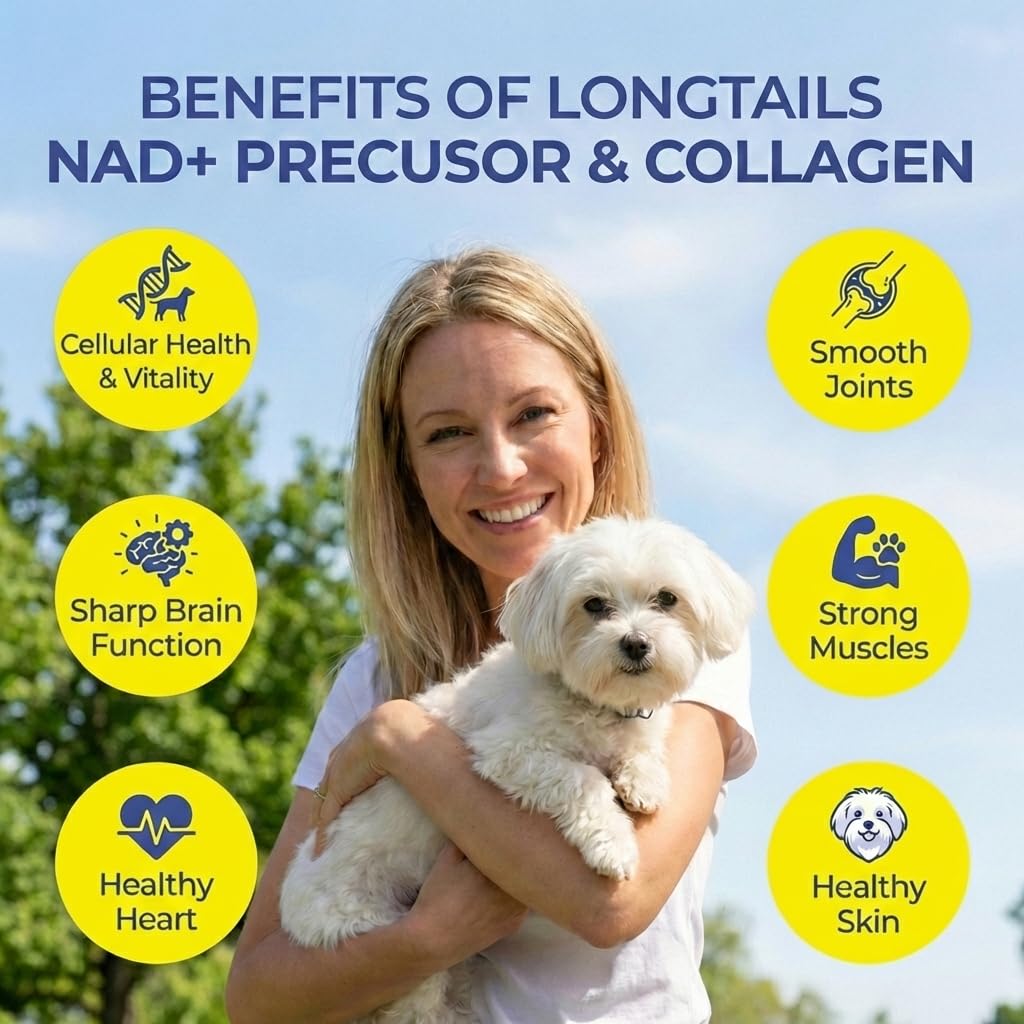 LongTails Bouillon d’os et articulations pour chien senior.