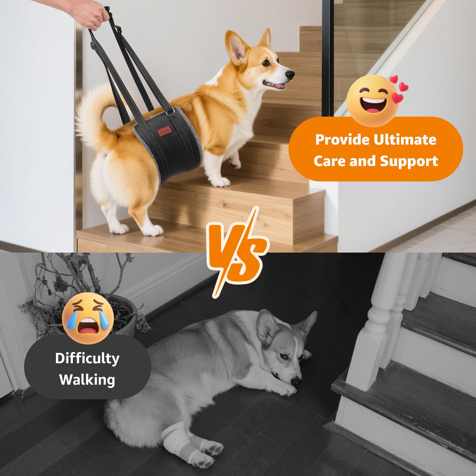 LOOBANI aide mobilité chien arrière pour lever et marcher