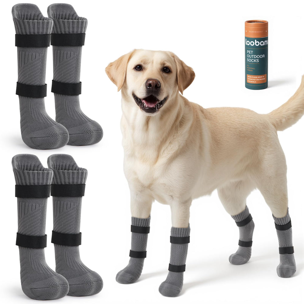 Les LOOBANI bottes-pattes-exterieures protègent les pattes lors des sorties en extérieur.