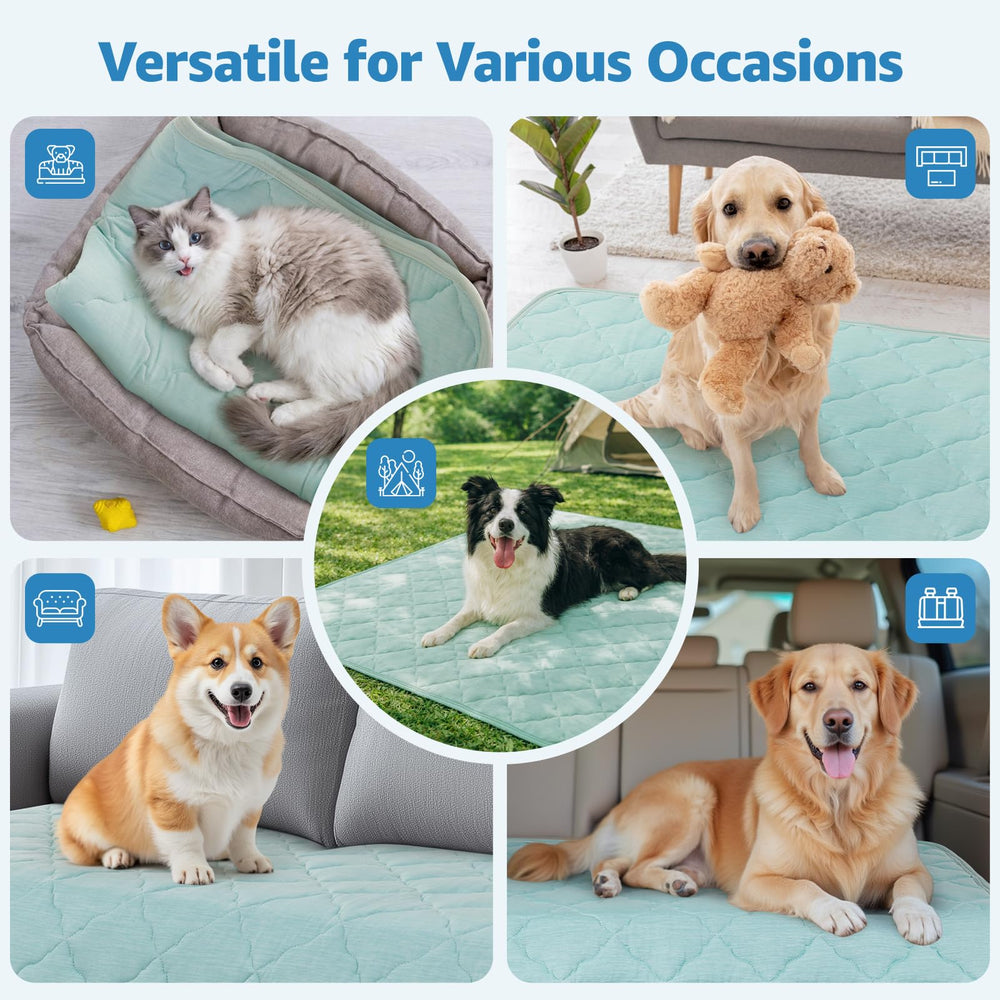 LOOBANI adapté chiens et chats, offre un espace frais quotidien.