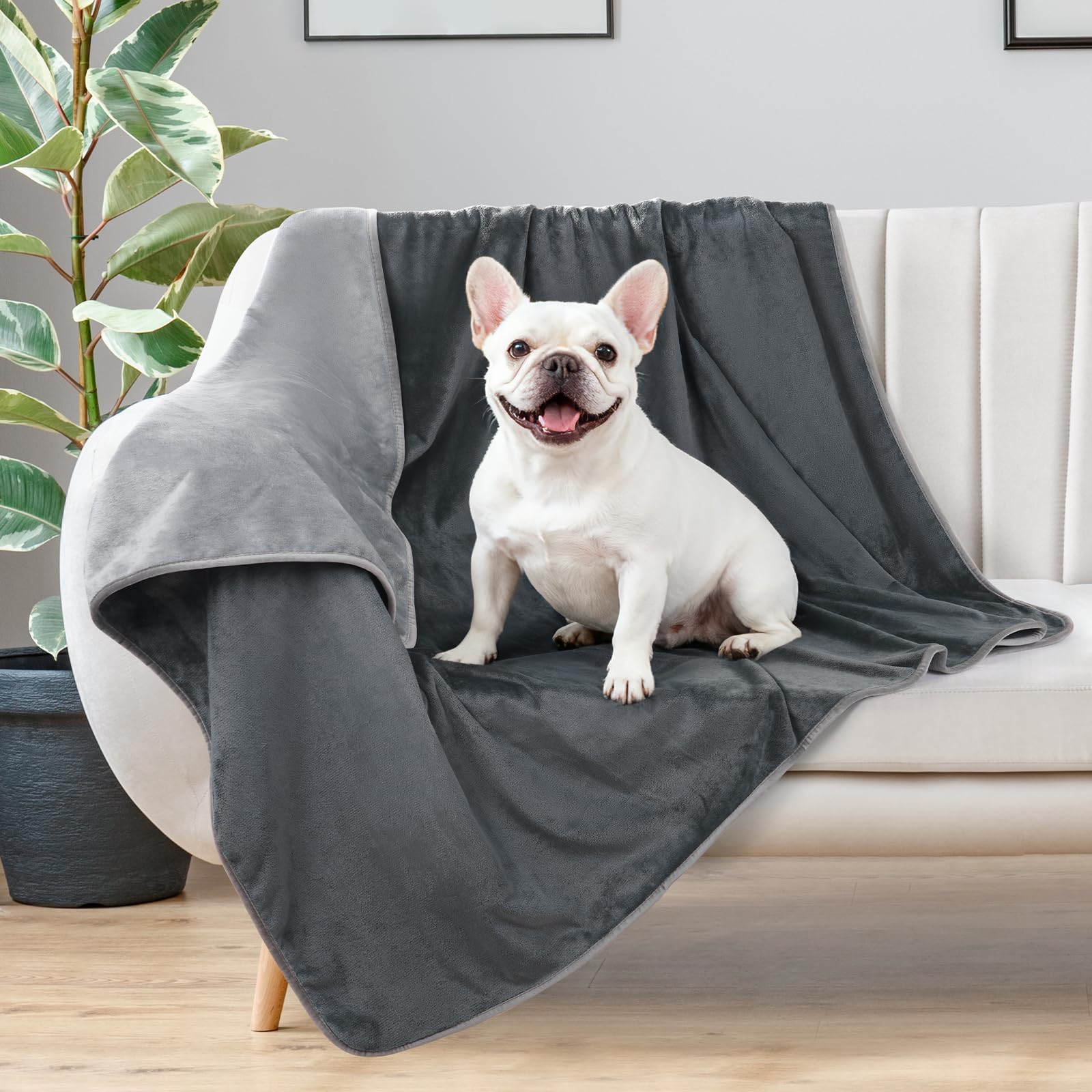 LOOBANI couverture-chien-impermeable-lit protège meubles et offre chaleur.