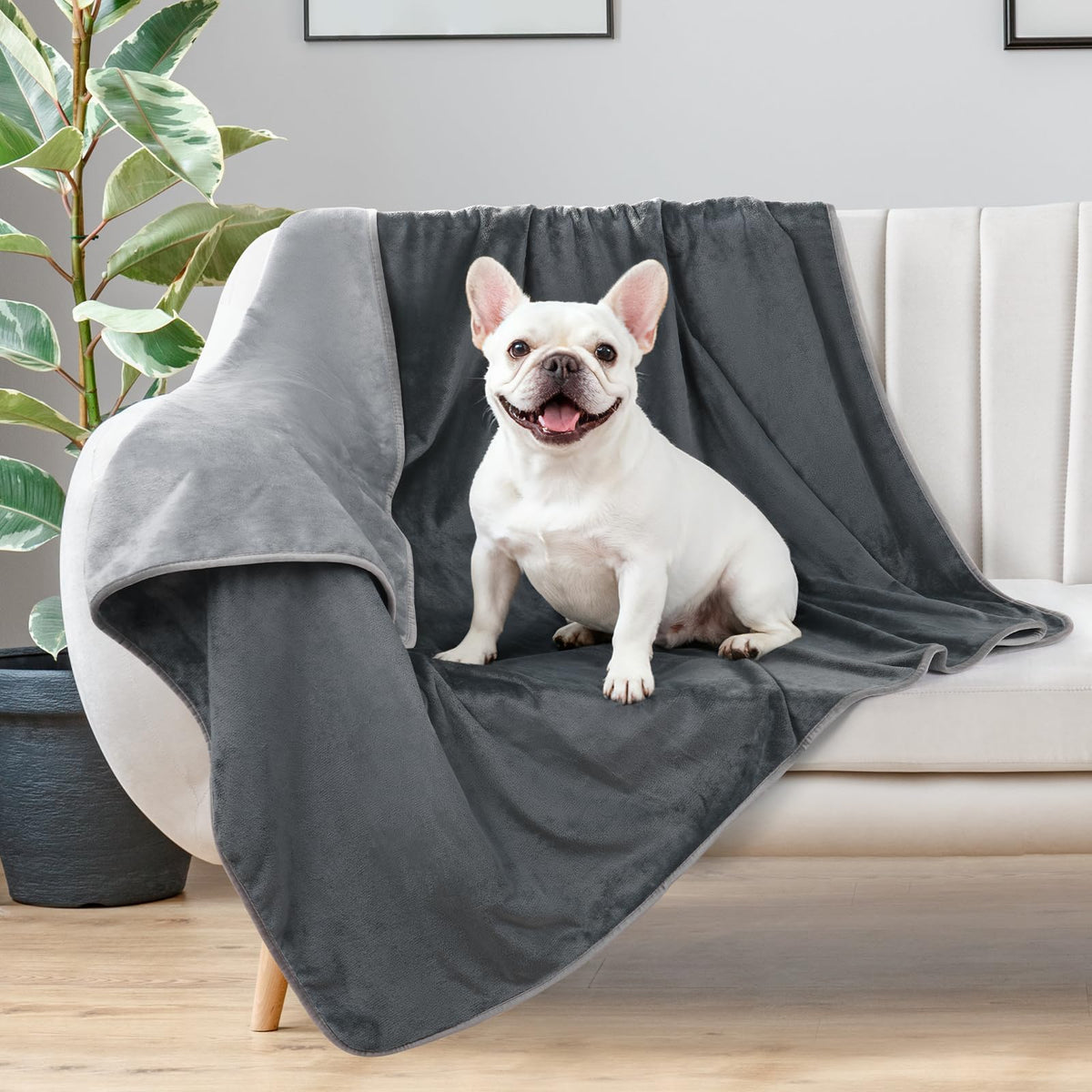 LOOBANI couverture-chien-impermeable-lit protège meubles et offre chaleur.