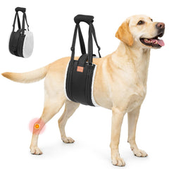 LOOBANI harnais lift pour chien pattes arrière, soutien stable en mouvement