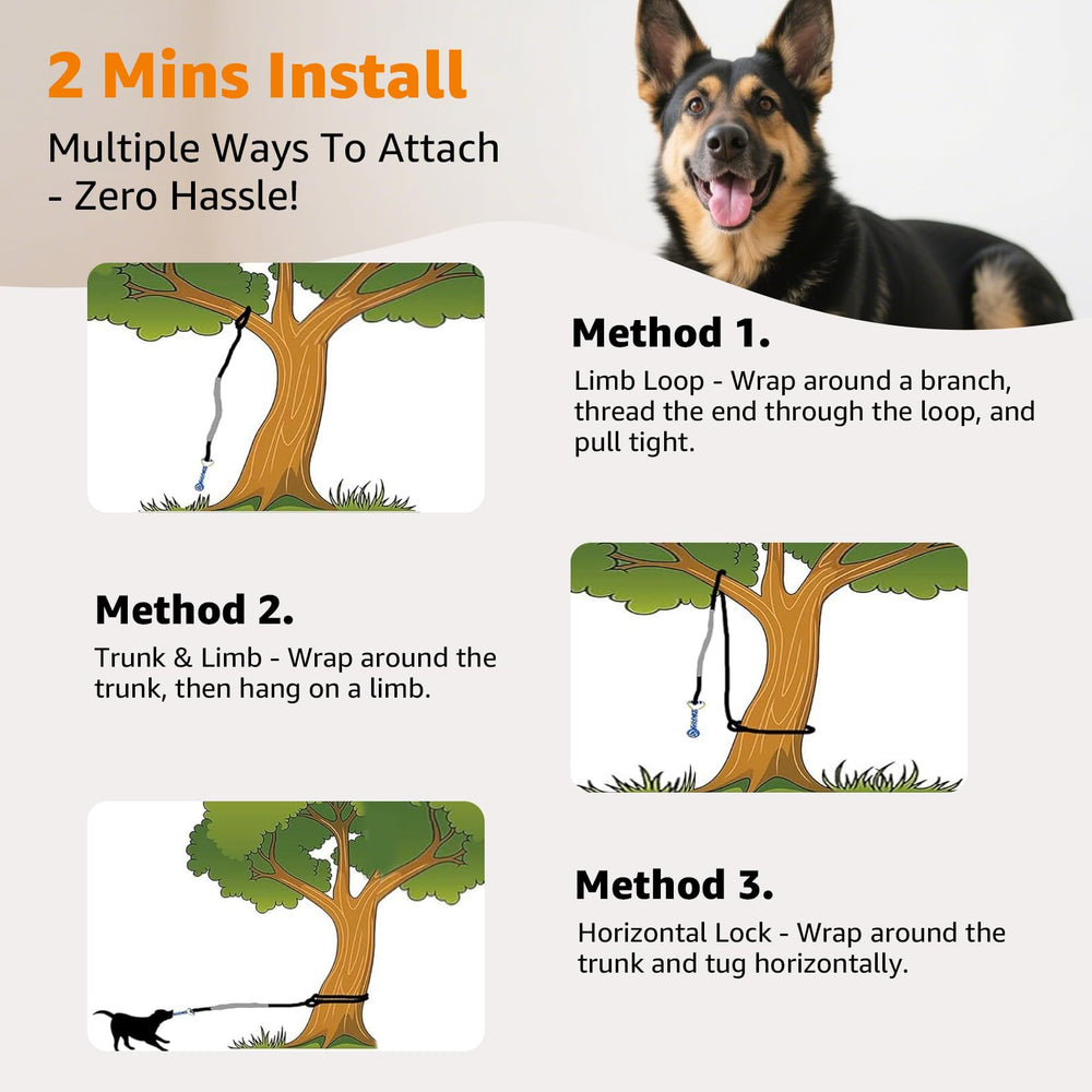LOOBANI Chien jouant seul avec traction interactive et exercice