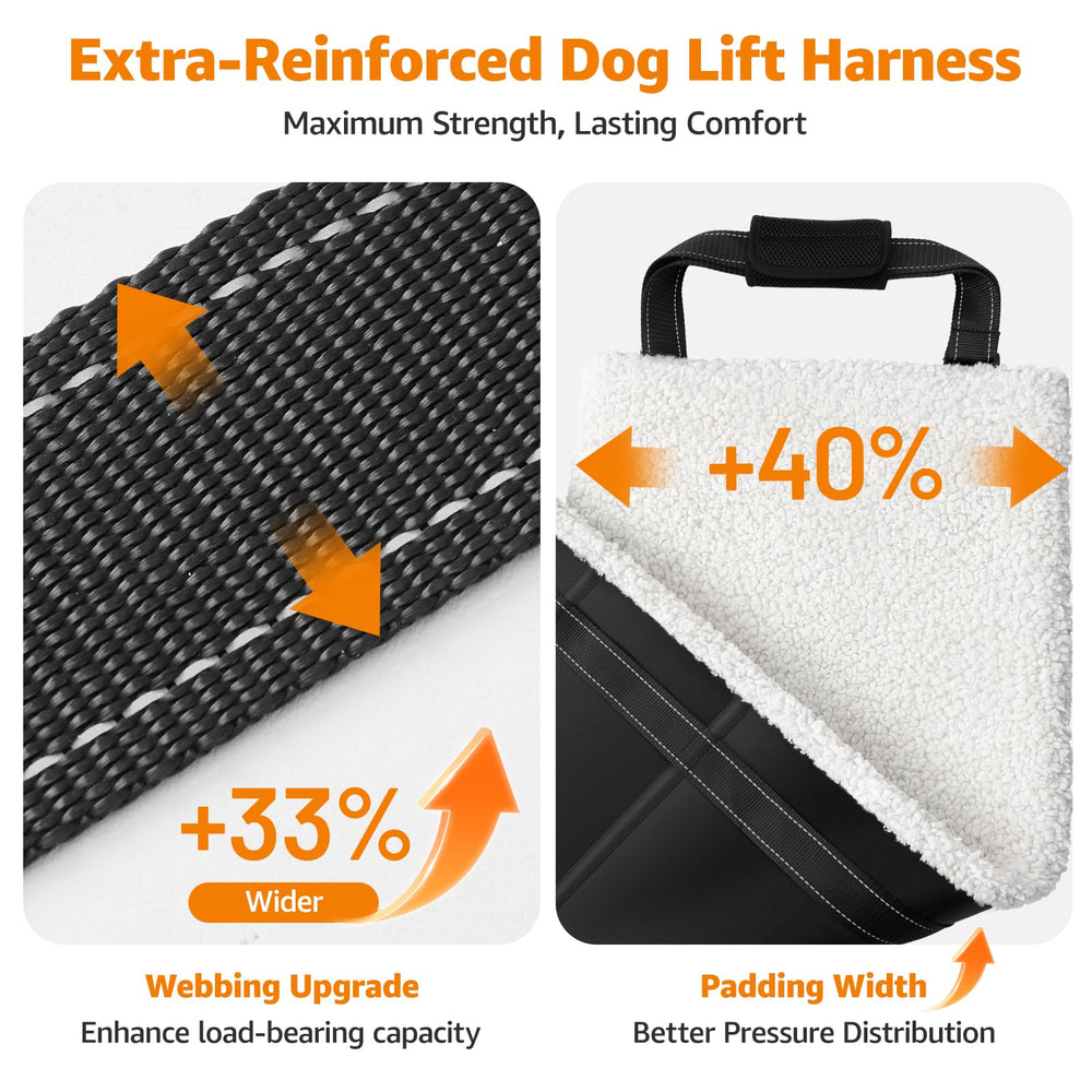 LOOBANI Sangle facilite la mobilité sur les escaliers pour chiens âgés.