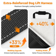 LOOBANI Sangle facilite la mobilité sur les escaliers pour chiens âgés.