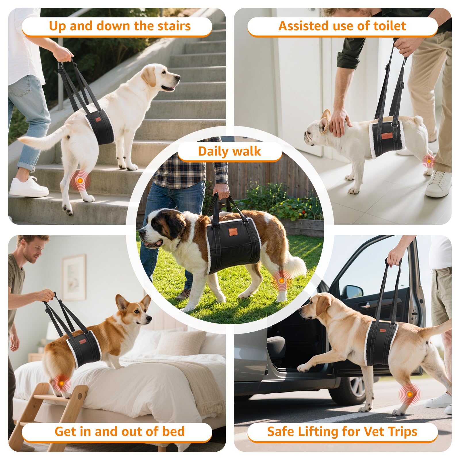 Les sangles réglables LOOBANI s'adaptent à la taille de votre chien.