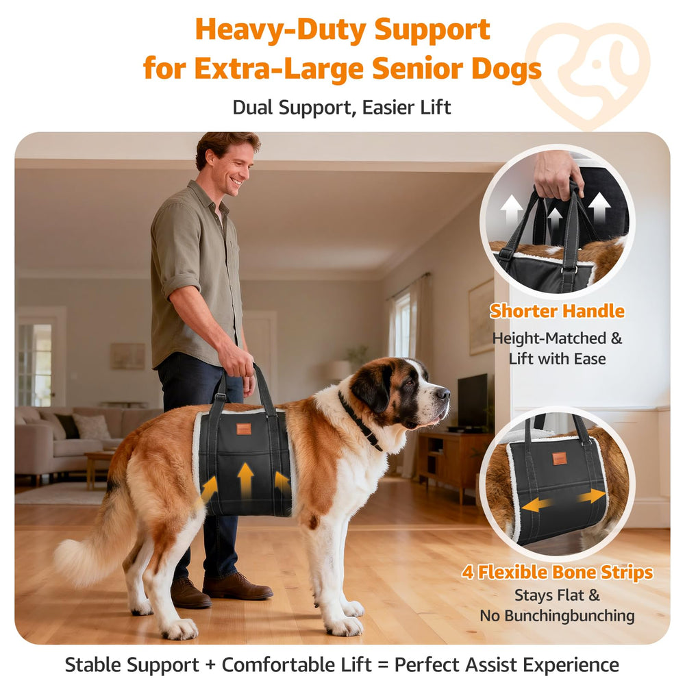LOOBANI Sangle soutient les hanches des chiens seniors pour faciliter les déplacements.