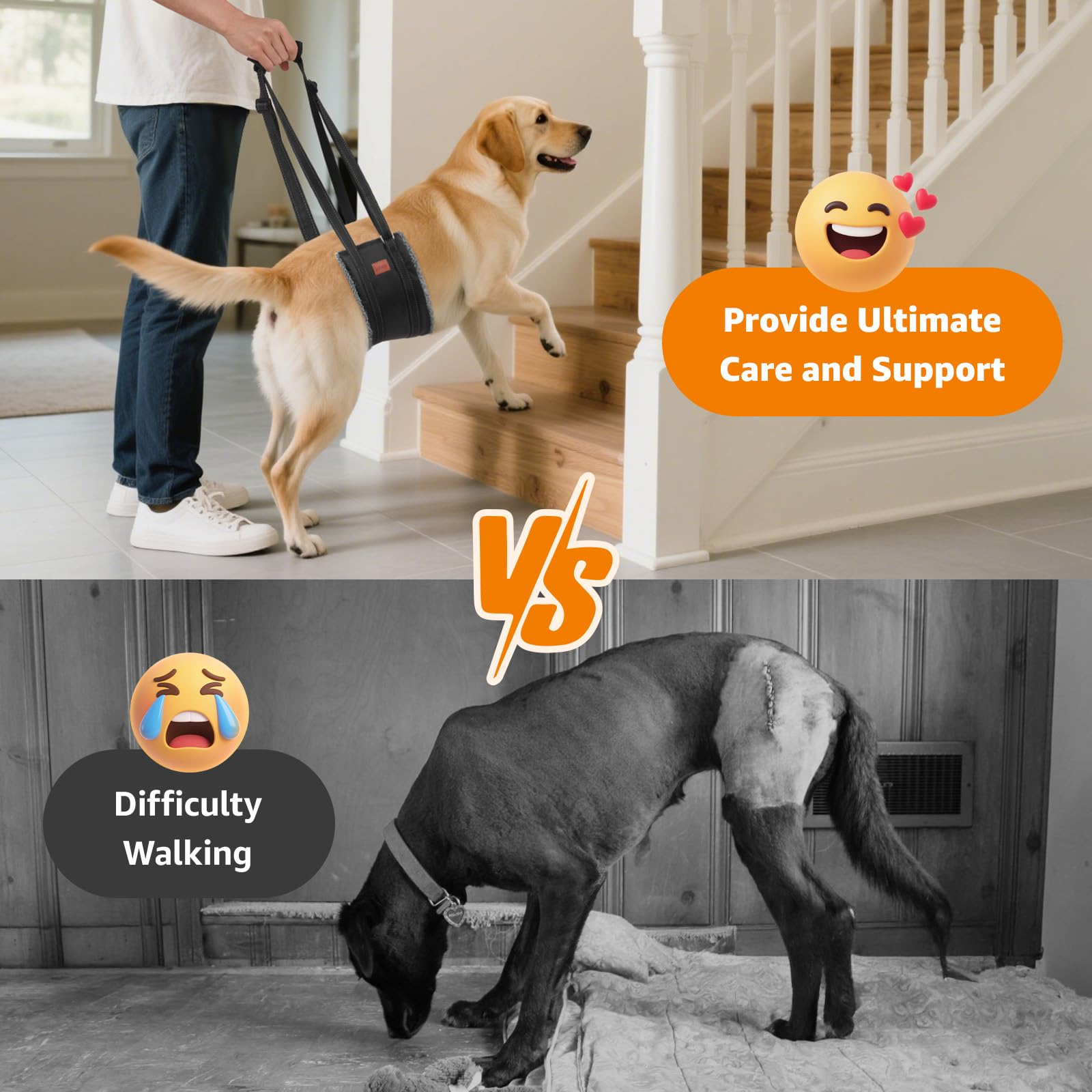 LOOBANI sling-aide-monter-escalier-chiens, aide à gravir les marches en douceur.