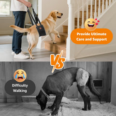 LOOBANI sling-chien Aide-mobilite pattes arrieres pour chiens ages