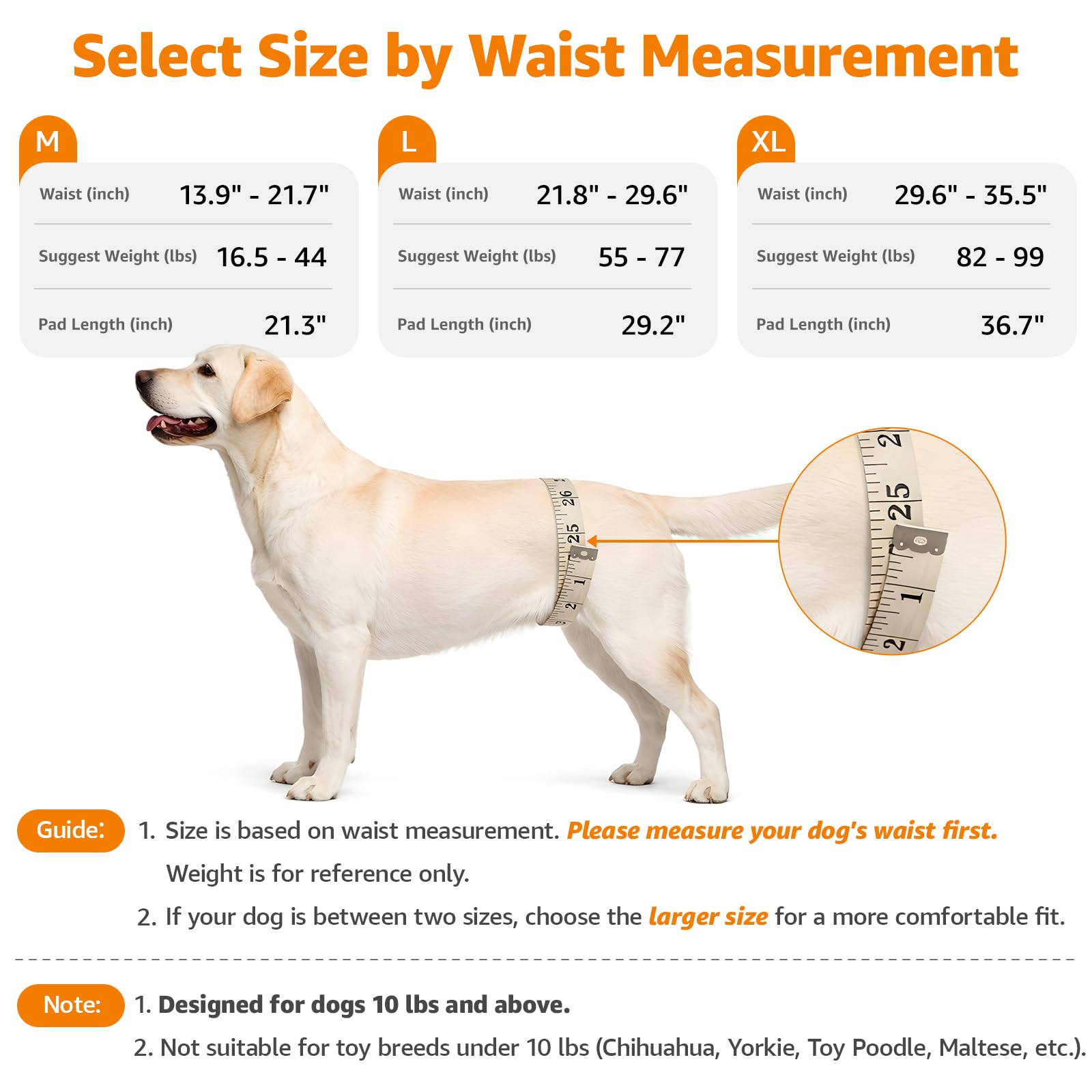 LOOBANI sling-chien Sangle reflechie pour plus de visibilite en exterieur