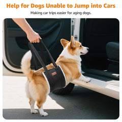 LOOBANI Sling confort – rembourrage doux pour chien.