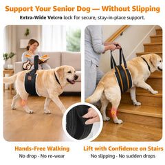 LOOBANI sling support chien escaliers, aide à monter et se lever