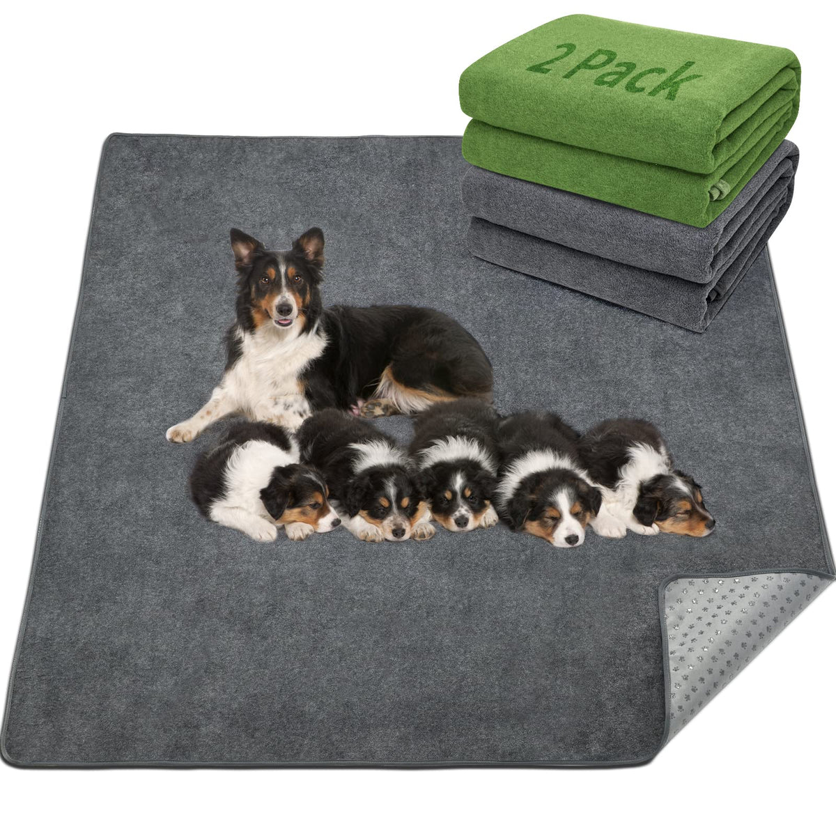 LOOBANI tapis-chien grand anti-glisse lavable pour stabilité et propreté