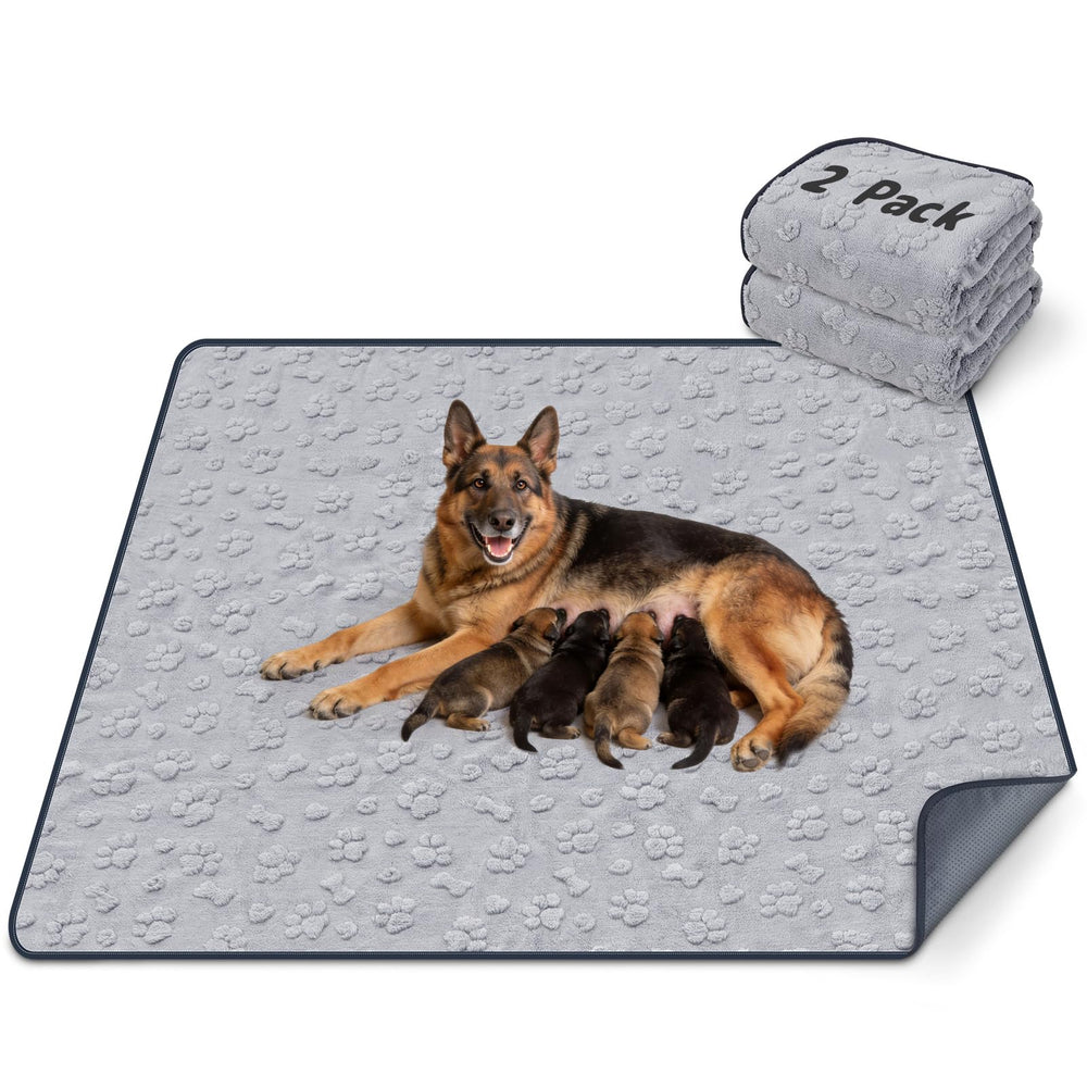 Loobani tapis chien lavable 48x48, grande surface pratique et facile d'entretien.