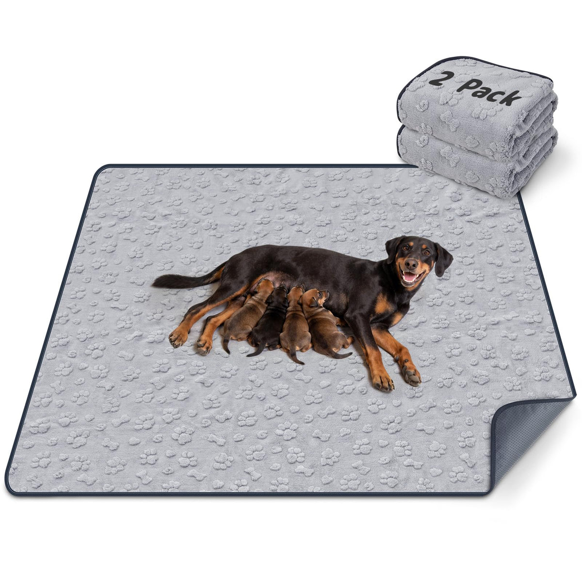 LOOBANI tapis chien 54x54 gris, absorption rapide pour chiots et chiens.