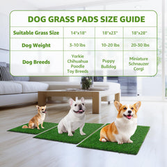 Tapis LOOBANI en herbe artificielle anti-odeur.