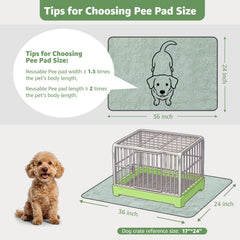 LOOBANI Tapis Pipi Chien Impermeable 36x24: base anti-fuite et stabilisatrice.