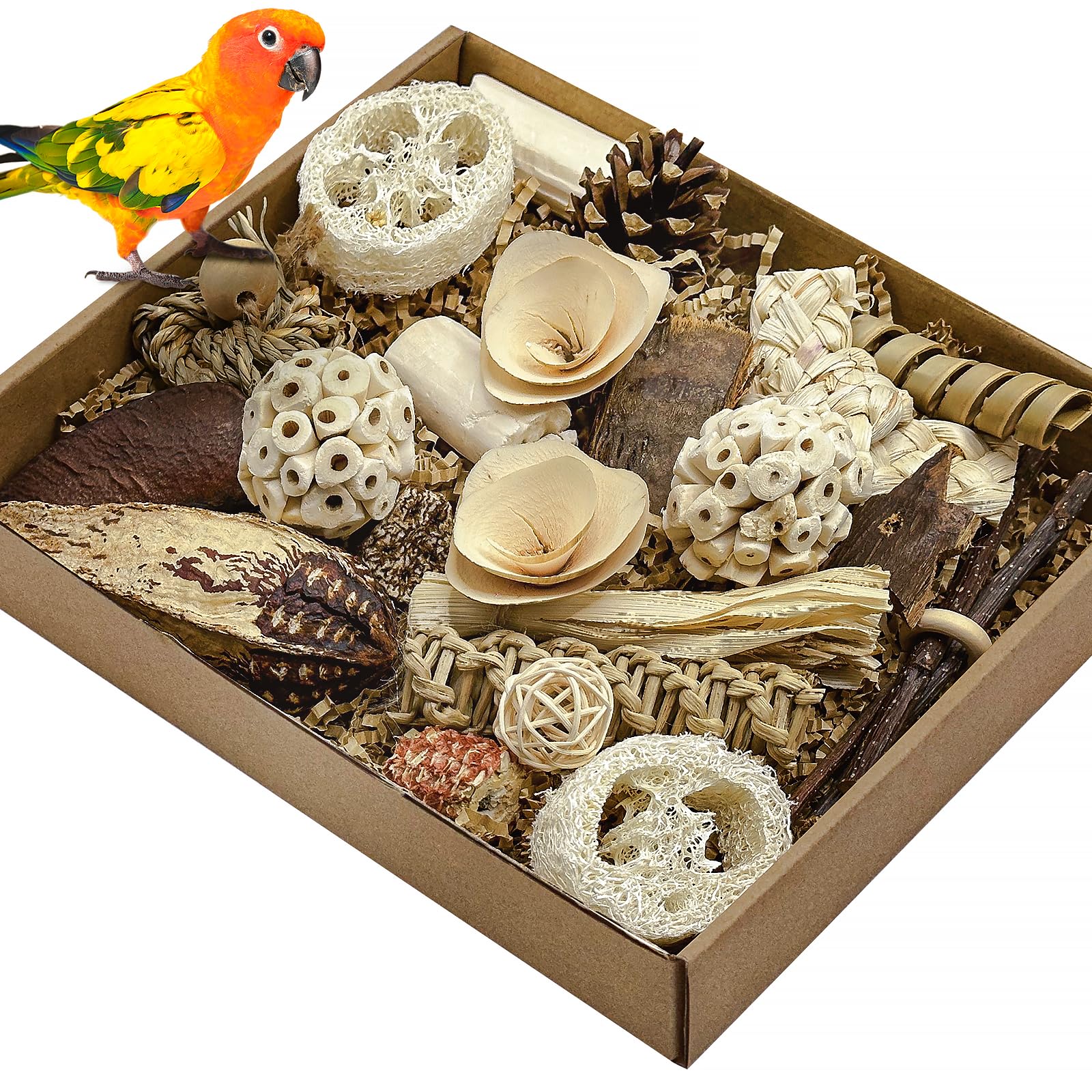 LOPERDEVE boîte-jouets oiseaux naturels, enrichissement et exploration.