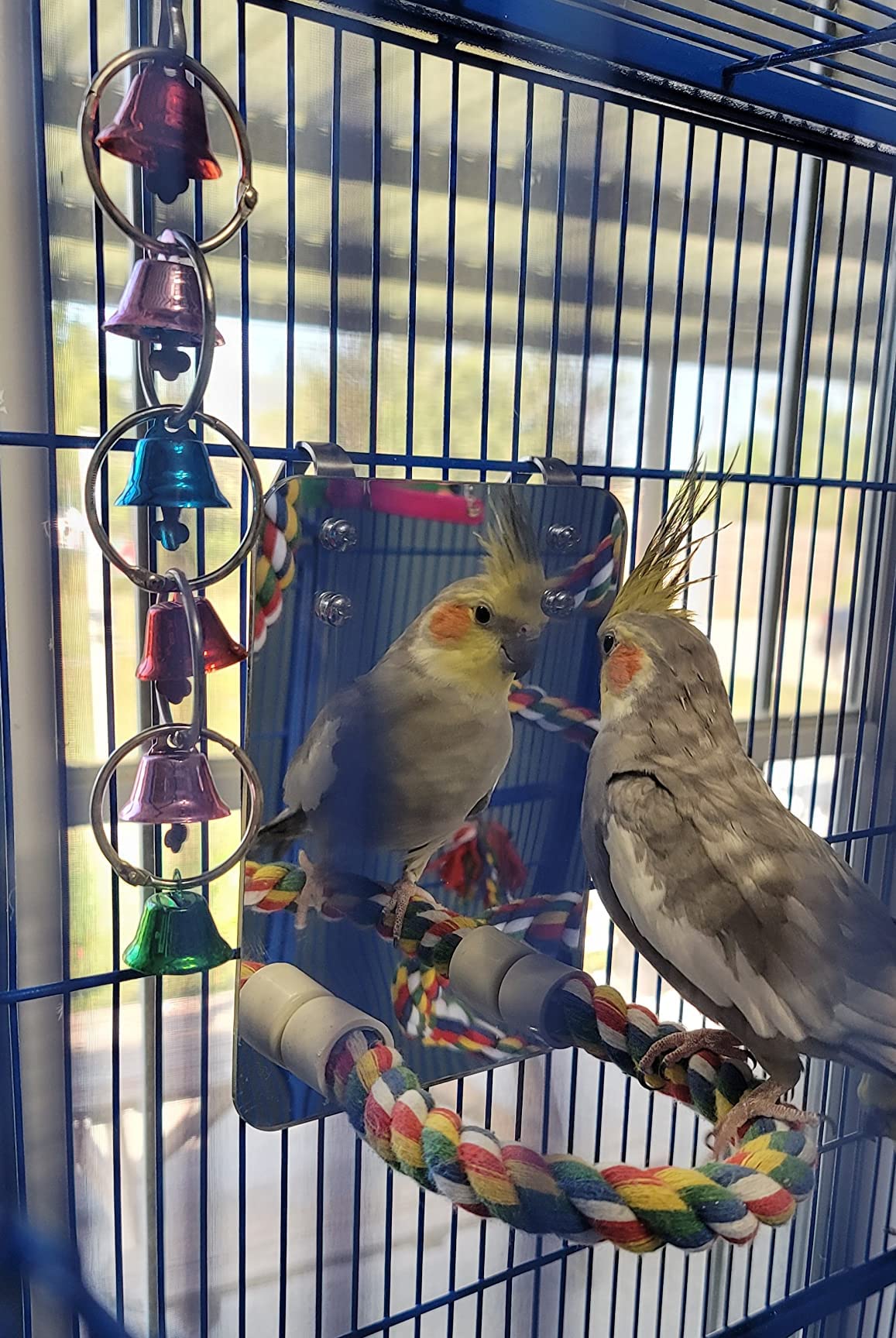 Accessoire cage LOPERDEVE, compatibilité avec la plupart des cages.