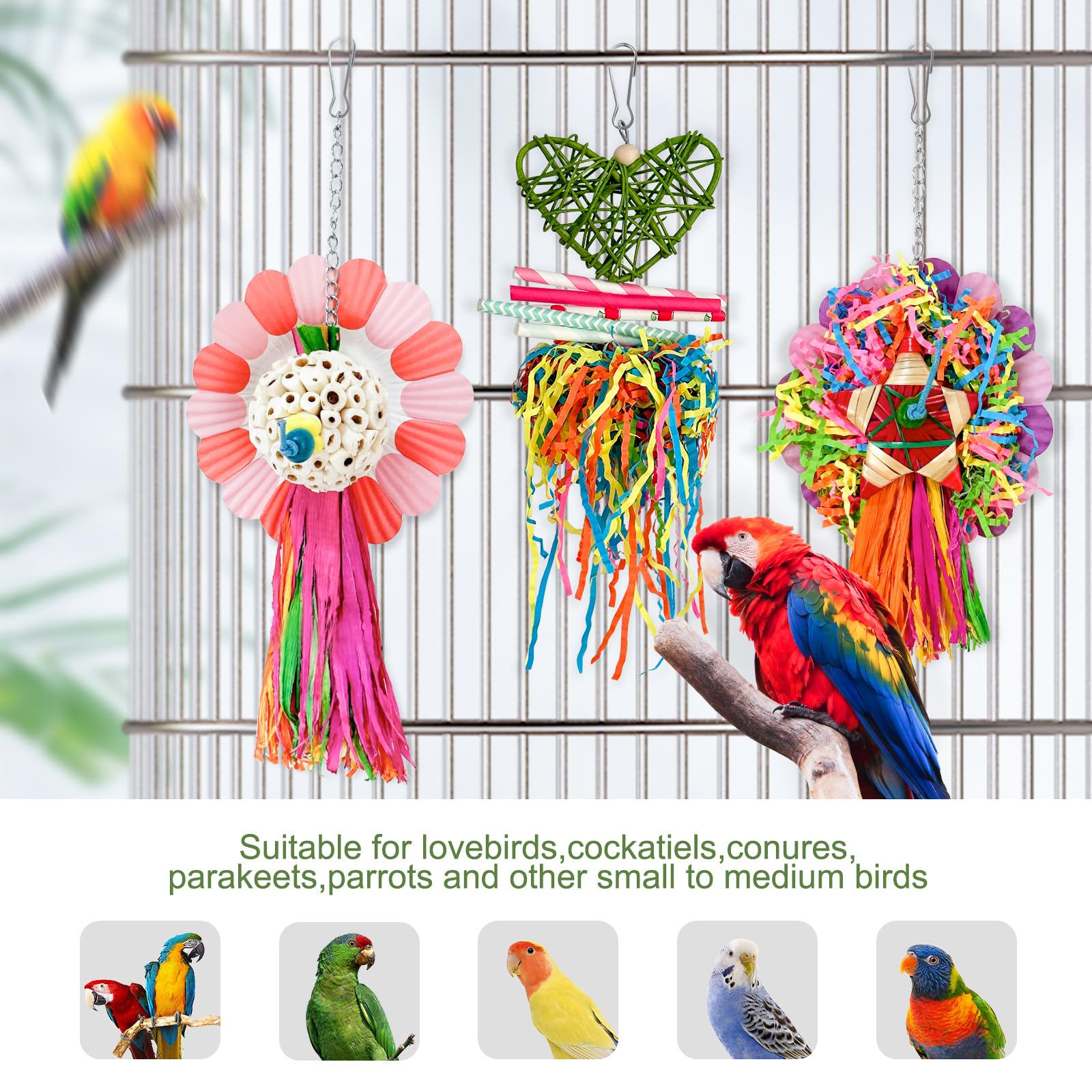 LOPERDEVE: pour forage et divertissement durable pour petits oiseaux.